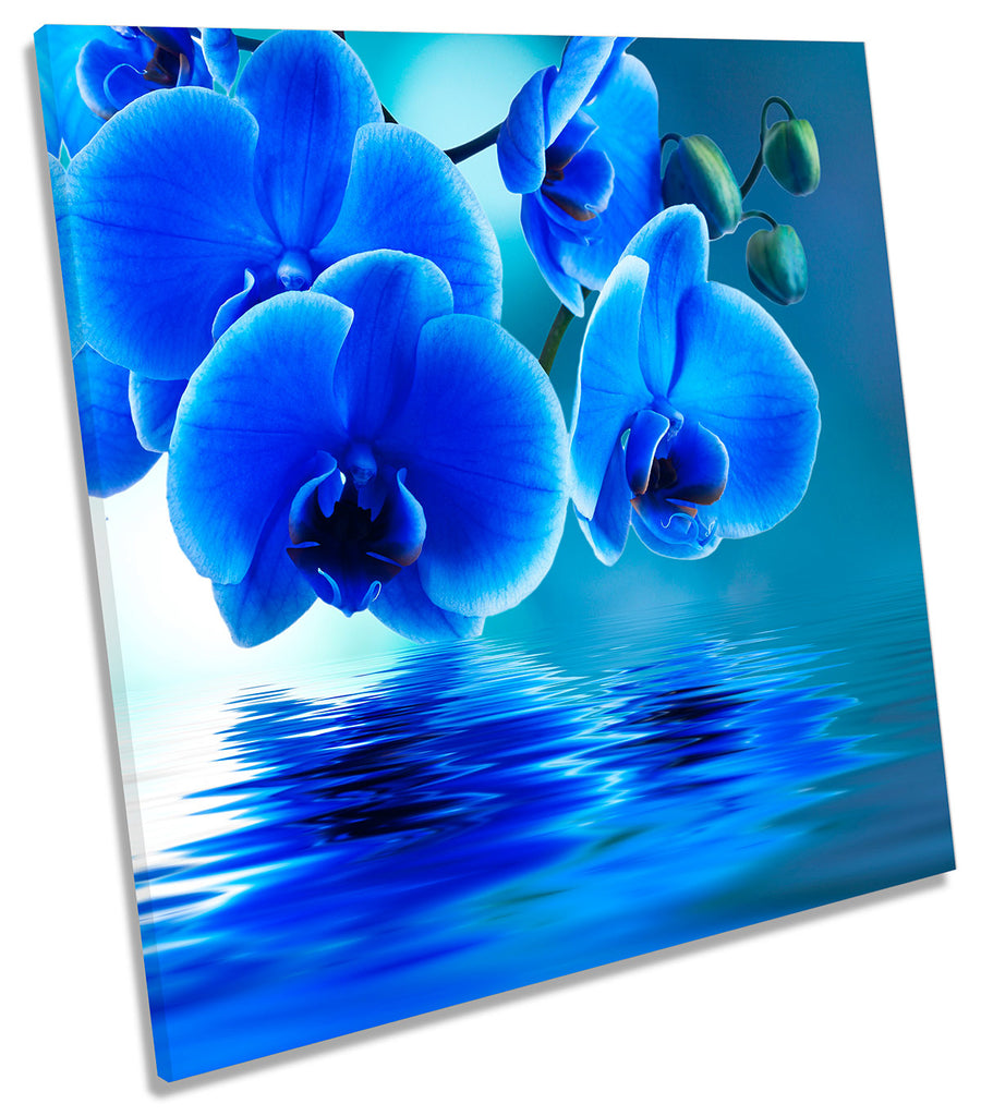 Blue Floral Flowers Water Ripple