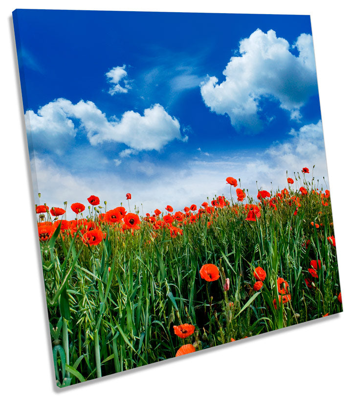 Poppy Meadow Floral Flowers