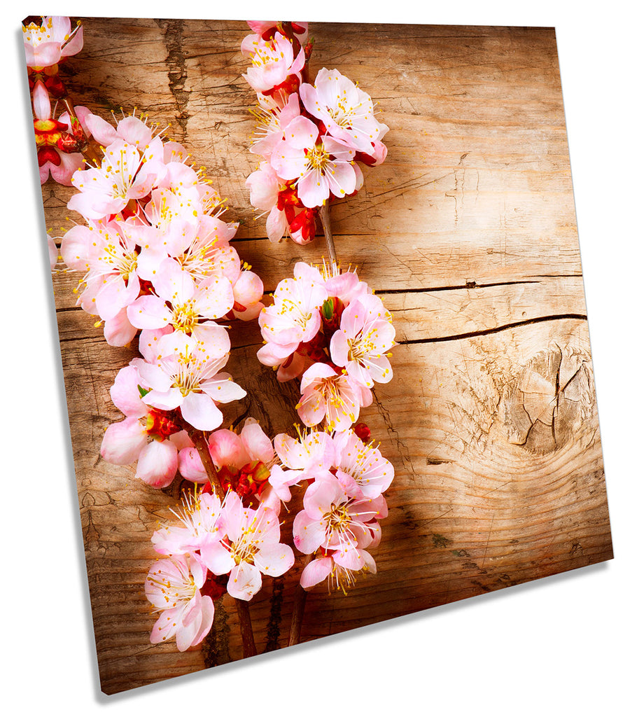 Pink Cherry Floral Blossom Flower