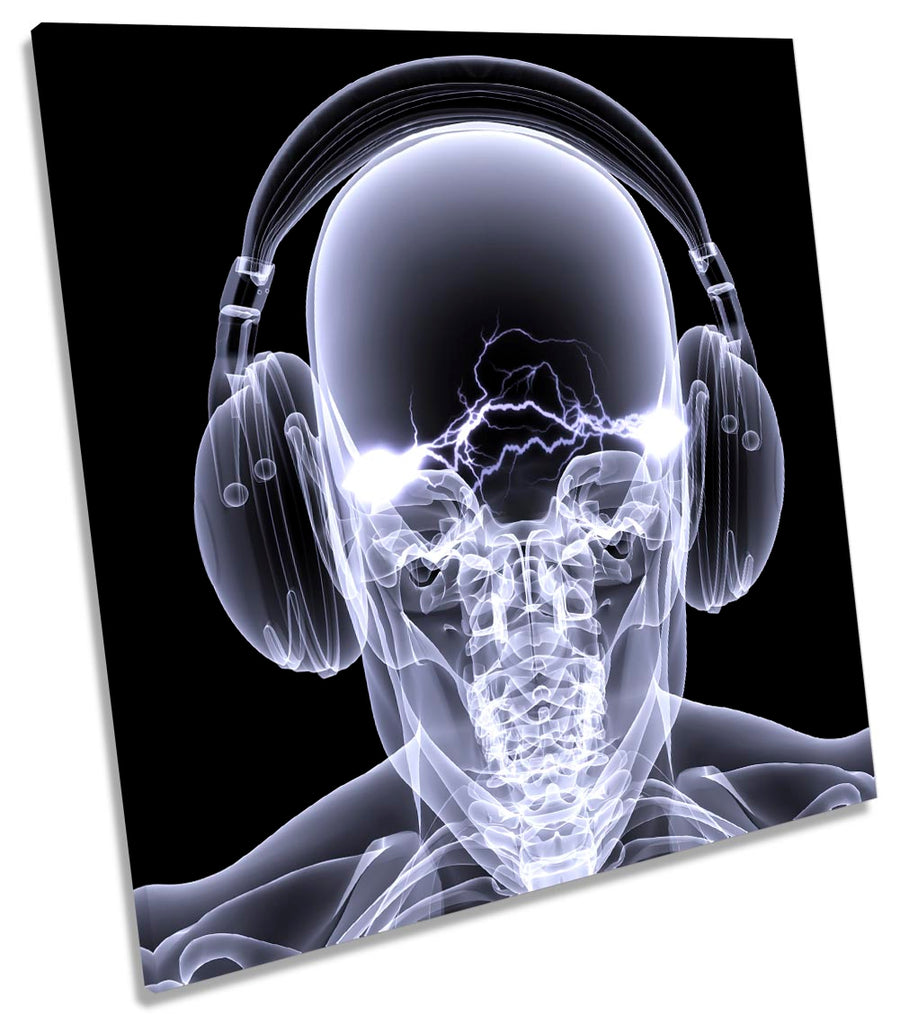 Skull Headphones DJ Music