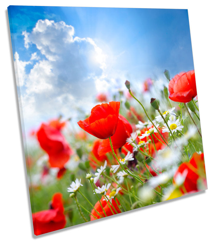 Poppy Field Summer Floral Flowers