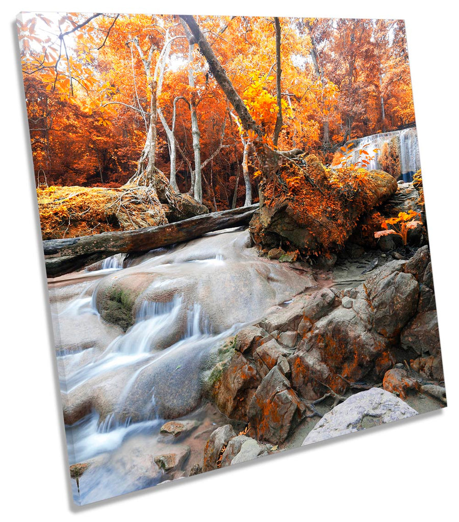 River Landscape Orange Forest