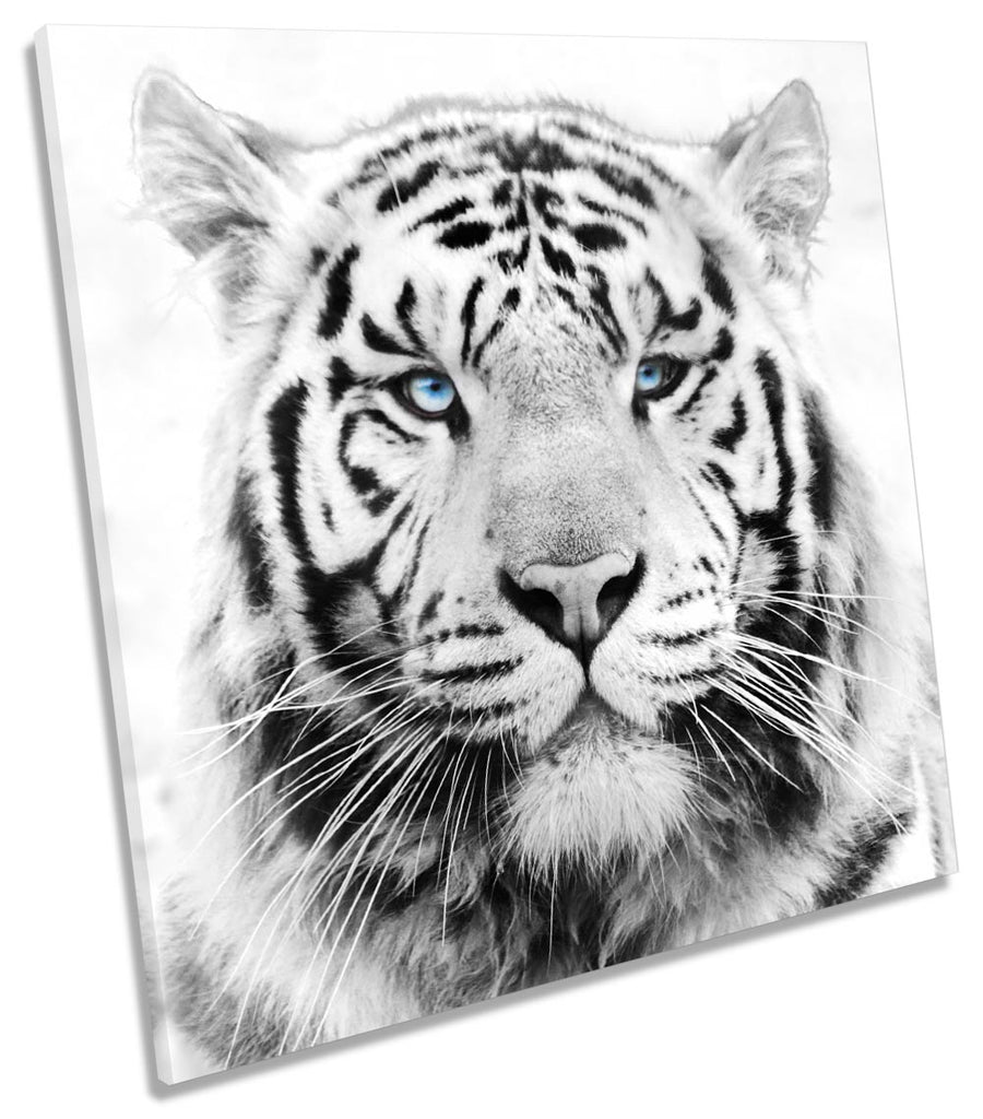 White Tiger Face