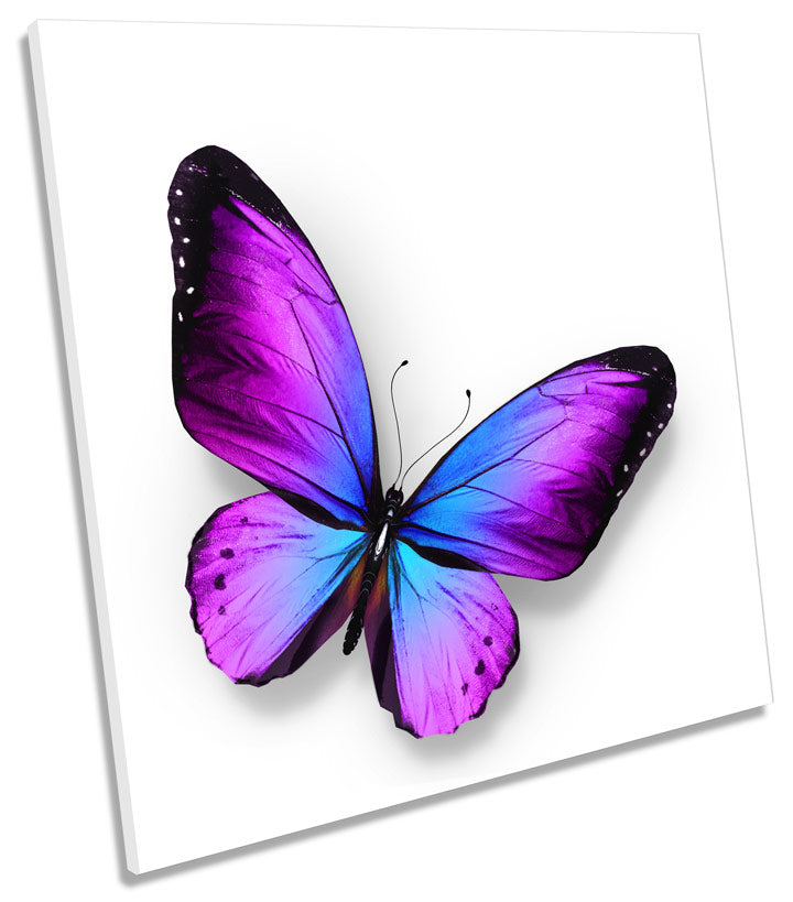 Purple Violet Butterfly