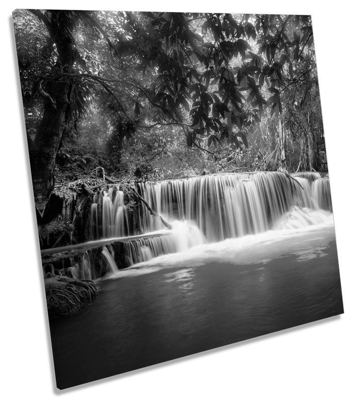 Thailand Waterfall Forest B&W