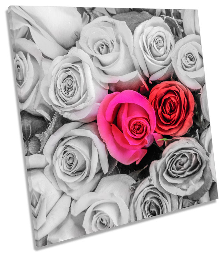 Roses Flowers Floral Love