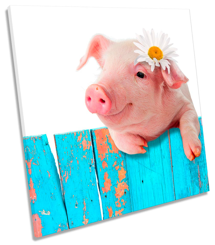 Cute Pig Daisy Flower Pink