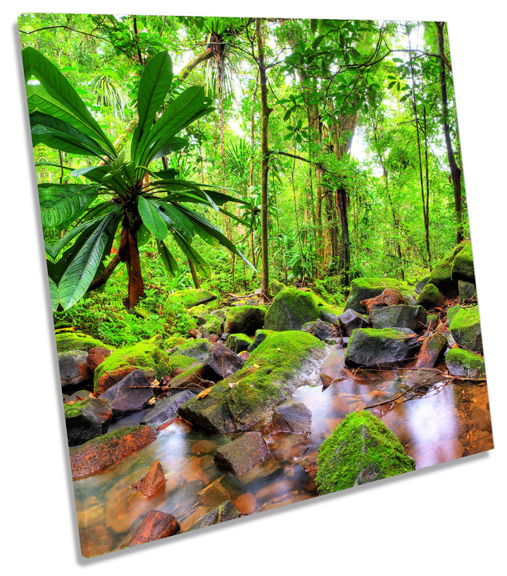 Jungle Tropical Landscape