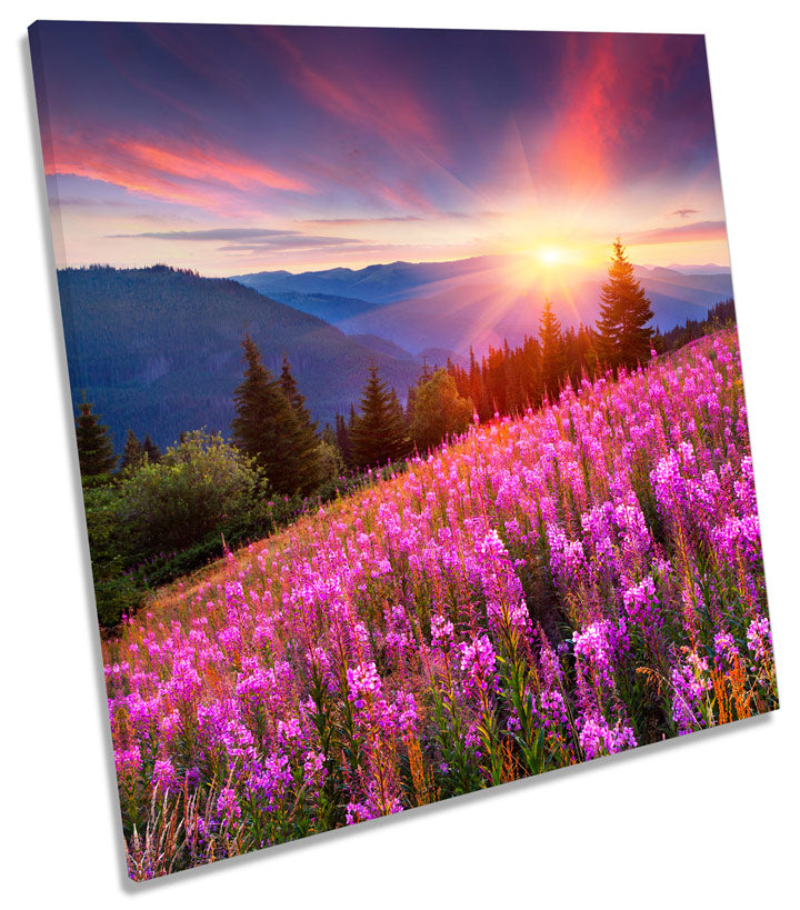 Summer Sunset Mountain Landscape