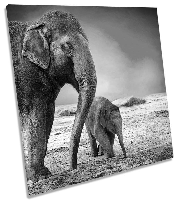 Elephants Sunset B&W