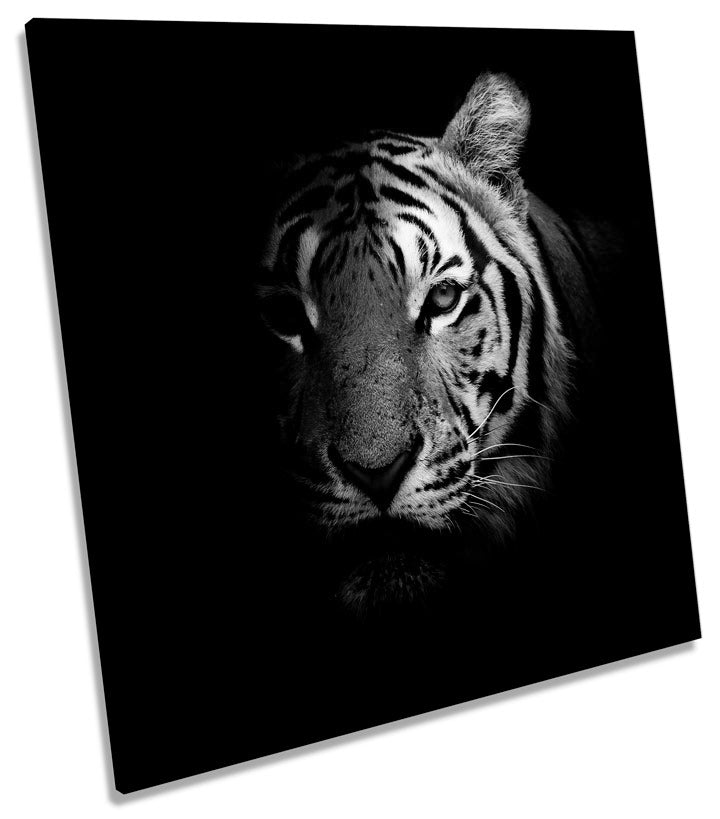 Tiger Face B&W