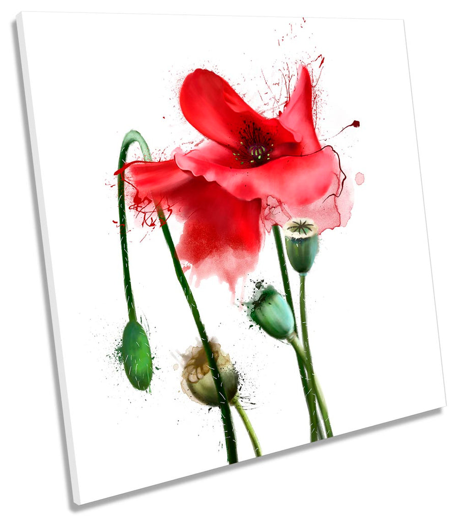 Red Poppy Flower Watercolour