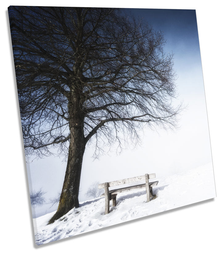 Winter Landscape Scene