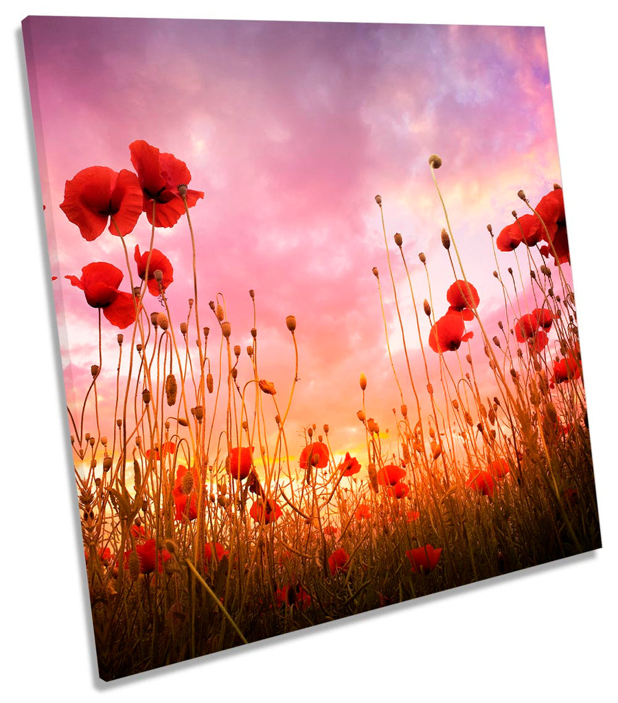 Red Poppies Sunset Floral