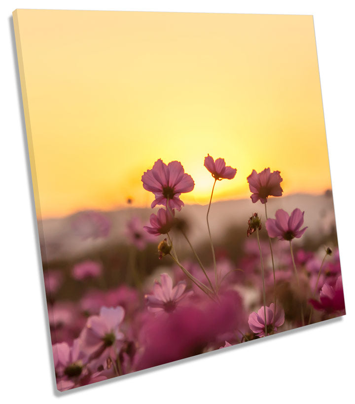 Floral Landscape Sunset