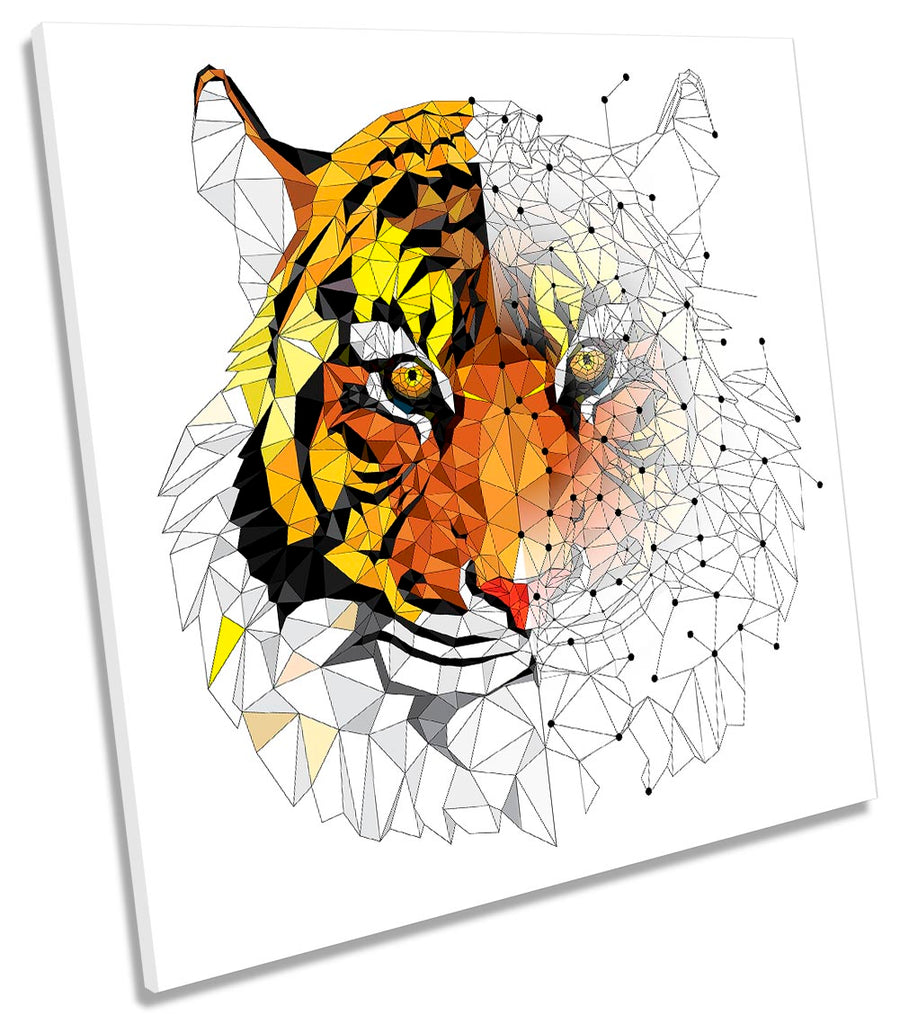 Tiger Geometric Orange