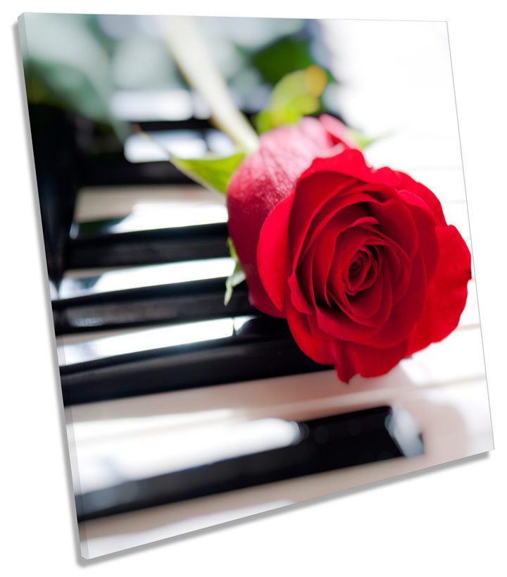 Rose Flower Music Piano Floral