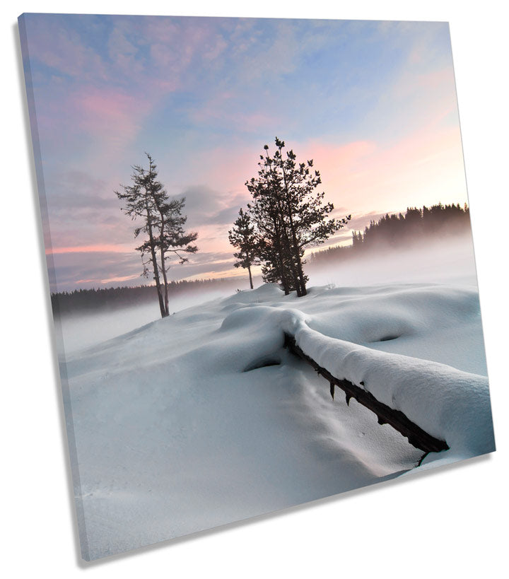 Frozen Lake Landscape Snow