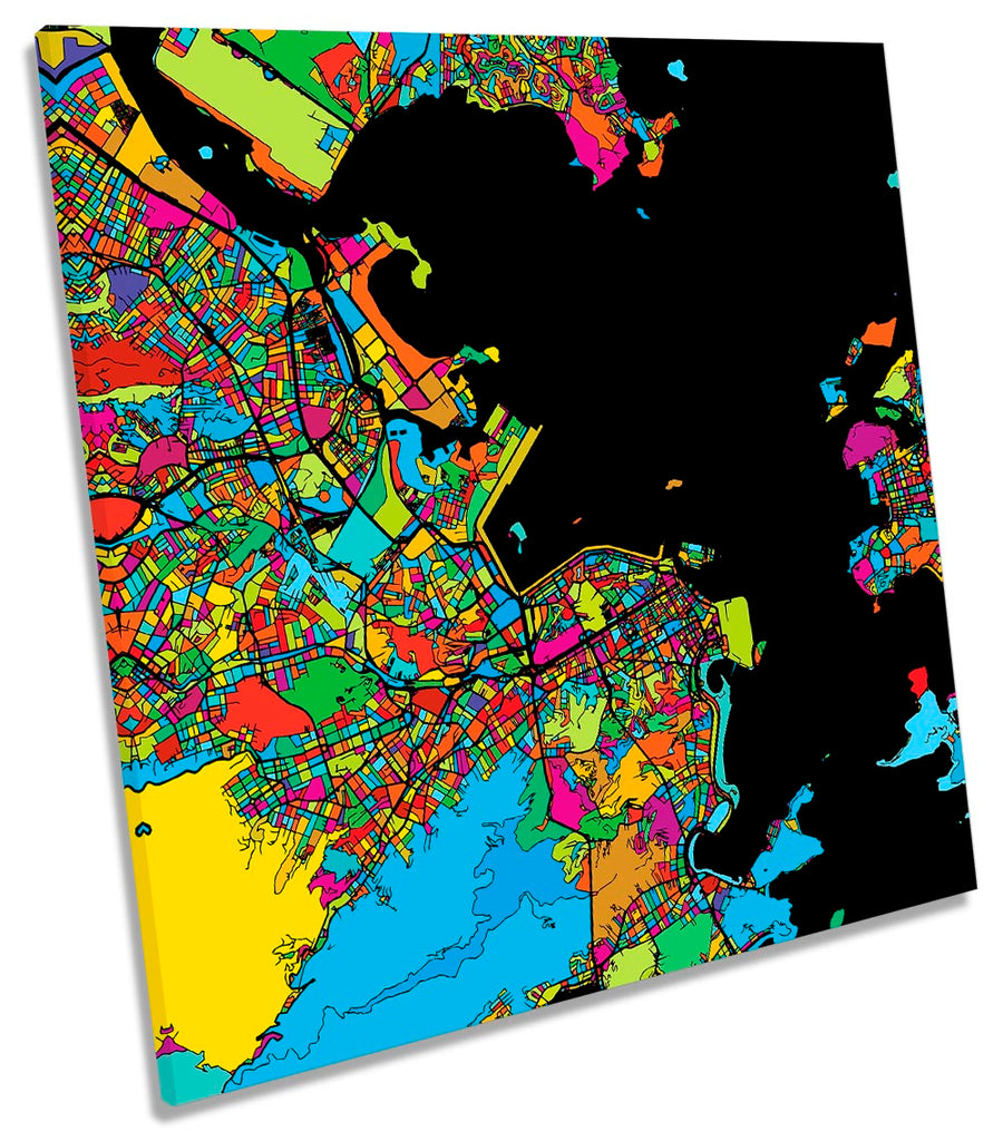 Rio de Janerio City Modern Map Multi-Coloured