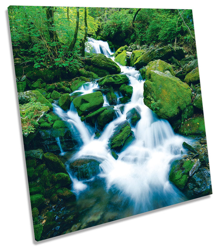 Natural Forest River Waterfall