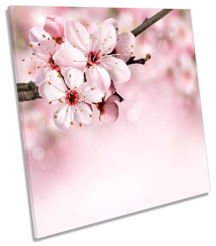 Cherry Plum Floral Flowers