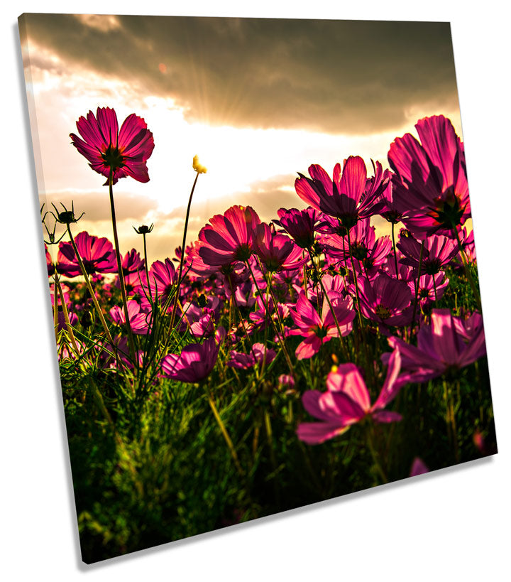 Flowers Sunset Floral