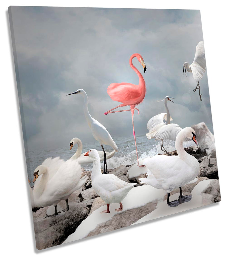 Pink Flamingo Swan Birds Grey