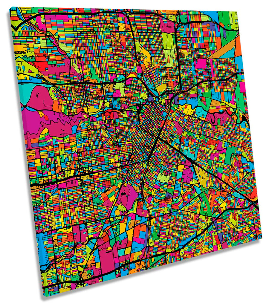 Houston City Modern Map Multi-Coloured