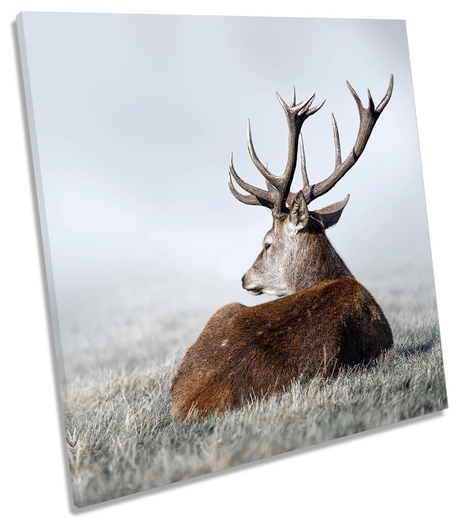 Deer Stag Antlers Grey