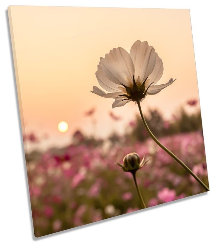 Flower Sunset Floral Landscape