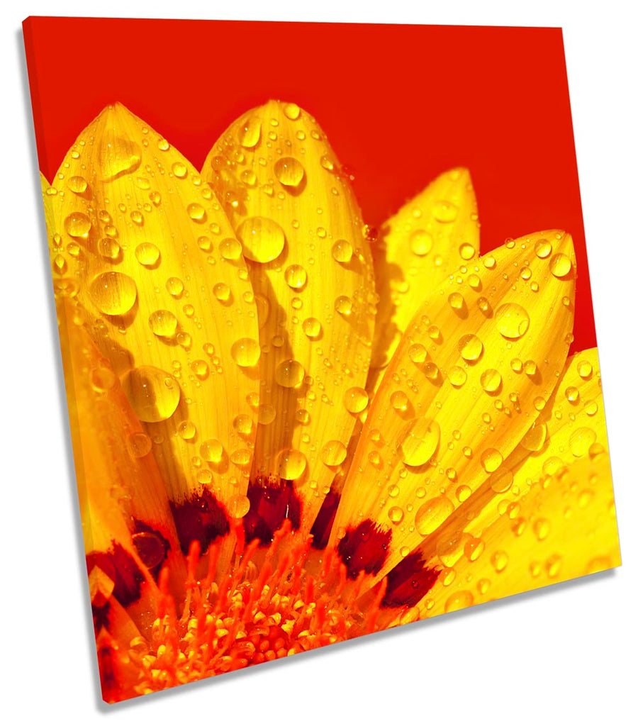 Red Floral Yellow Flower