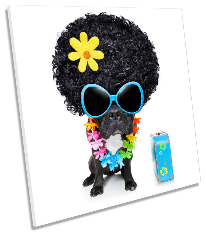 French Bulldog Afro Wig