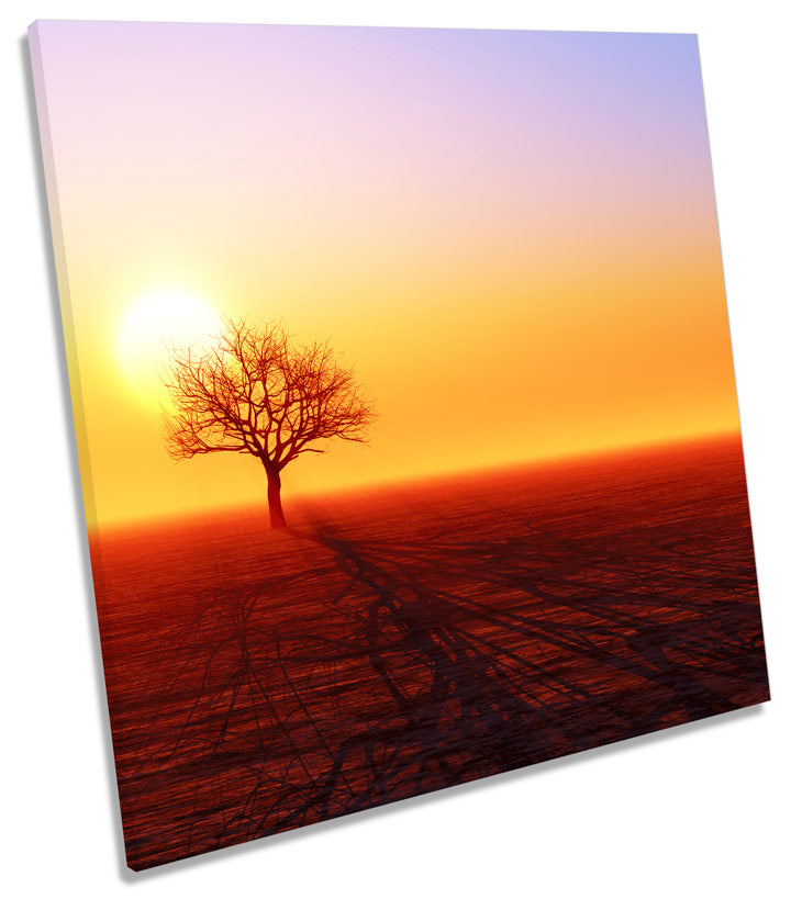 Tree Silhouette Sunset Landscape