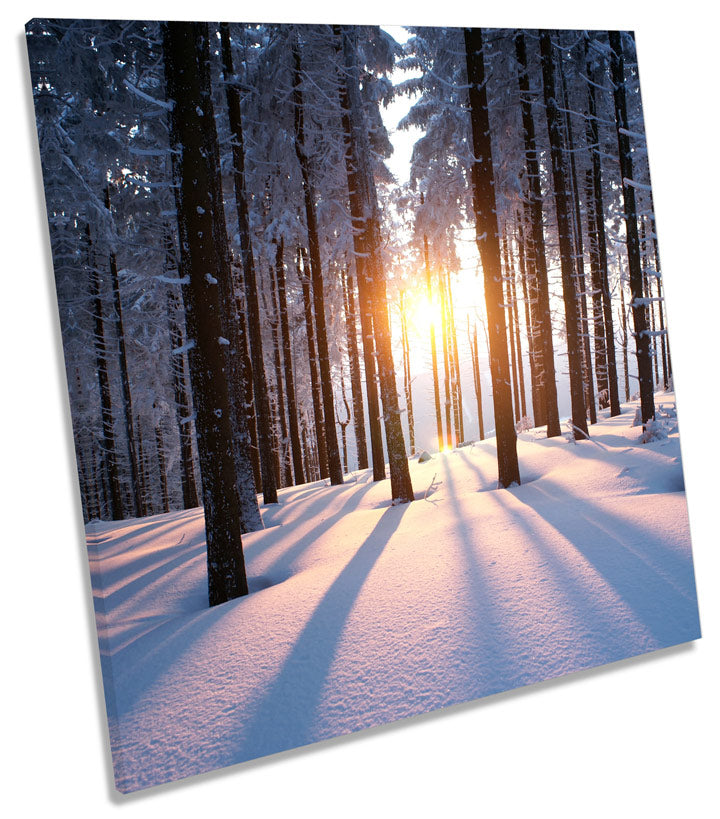 Sunset Snow Forest Landscape