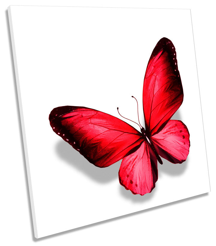 Red Butterfly