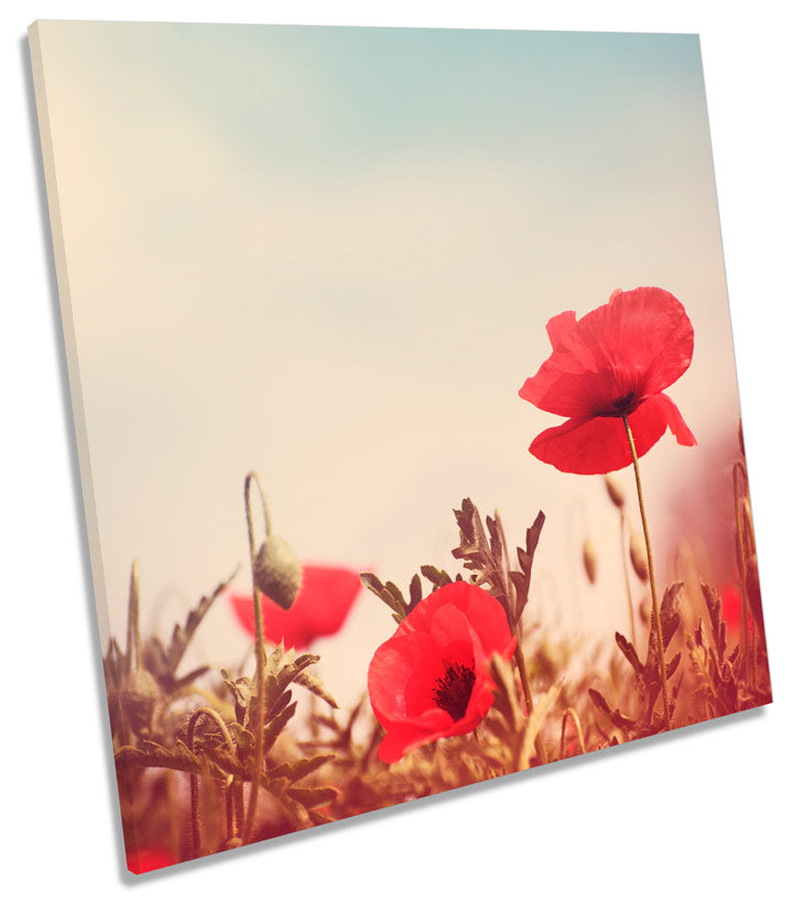 Vintage Poppy Flowers Floral