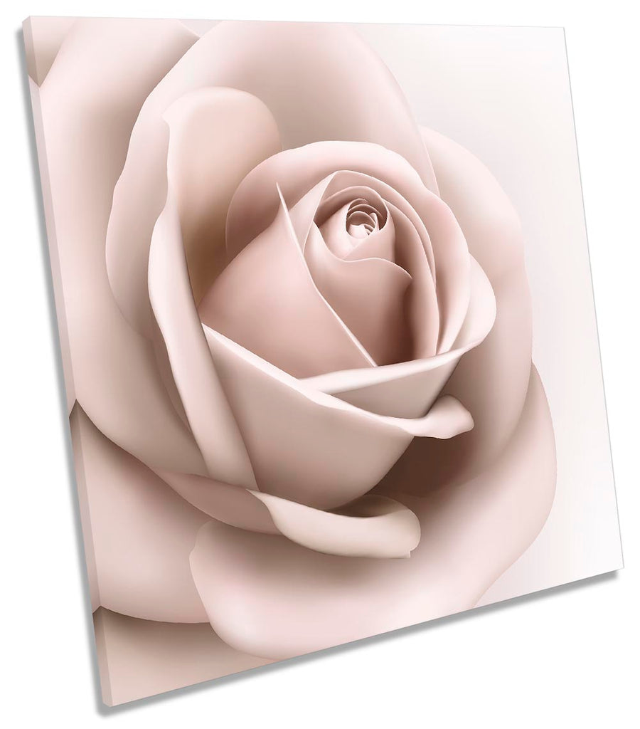 Cream Rose Flower Floral