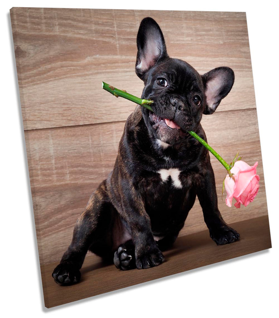 French Bulldog Flower Black