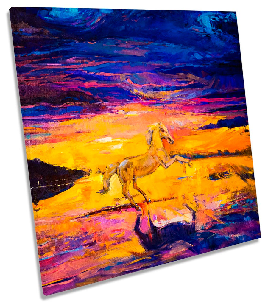 Horse Stallion Sunset Orange