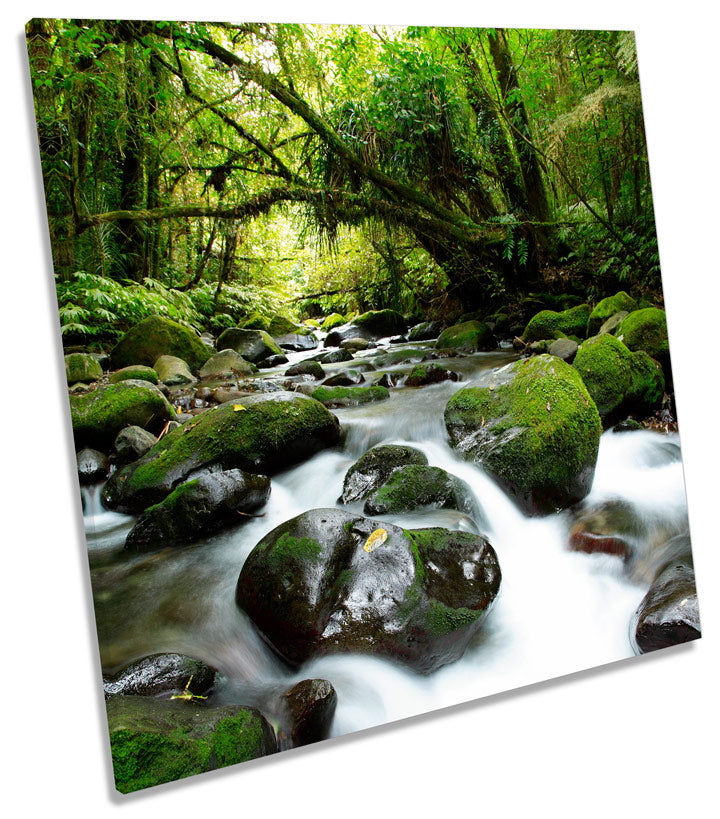 Forest River Creek Landscape