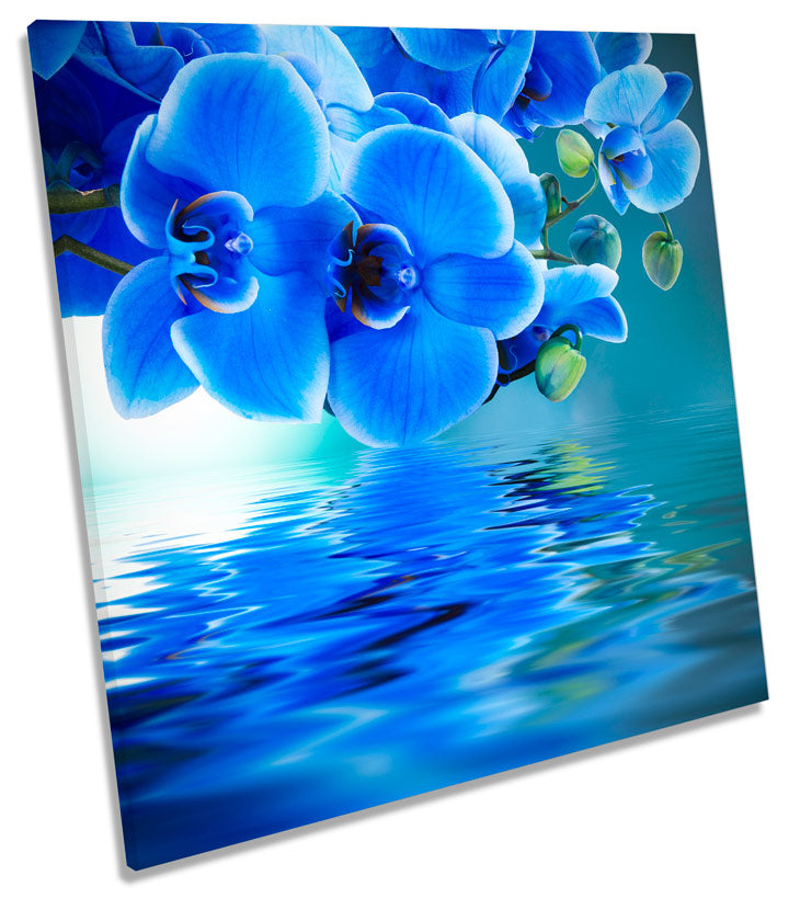 Floral Flower Reflection