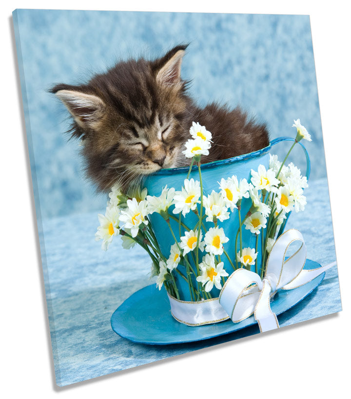 Kitten Teacup Cute