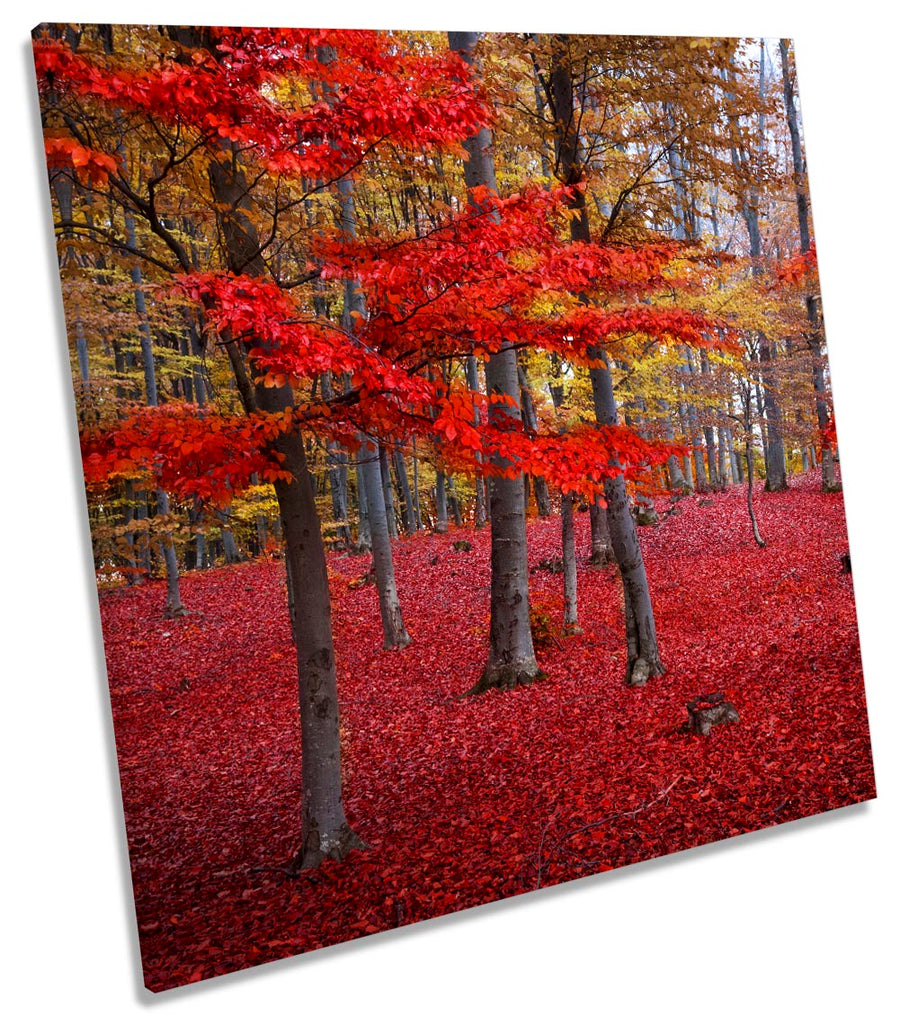 Red Landscape Forest