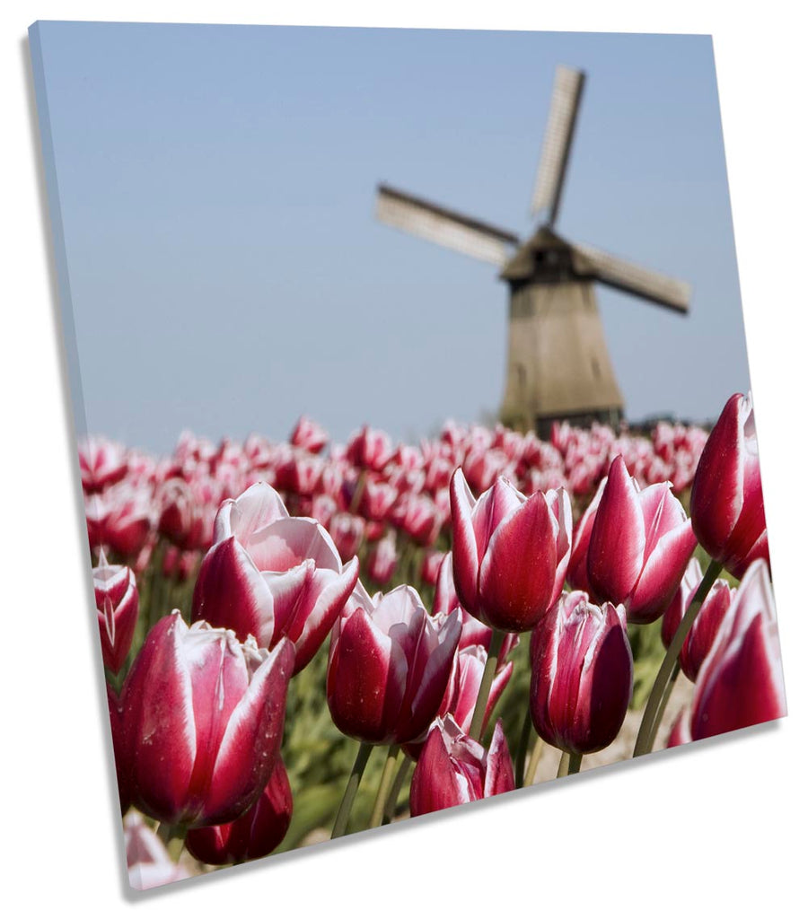 Windmill Flowers Depth Focus