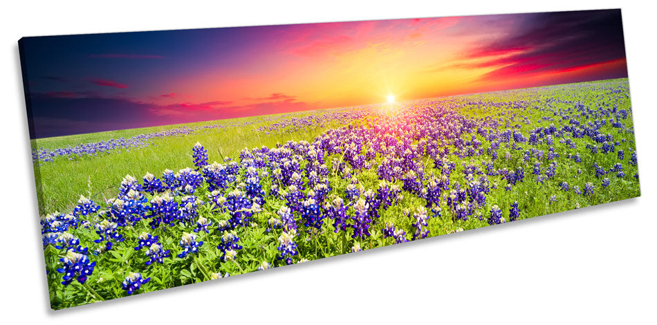 Flowers Landscape Sunset Floral