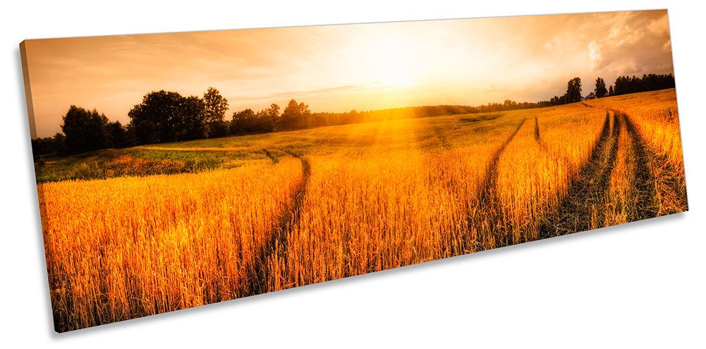 Rural Landscape Wheat Field