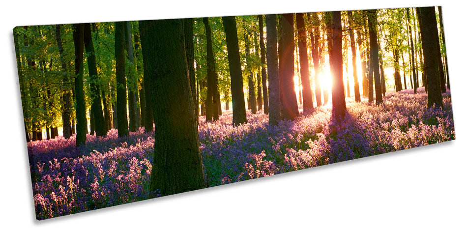 Forest Sunset Landscape Floral