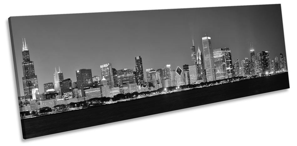 Chicago Cityscape Night B&W