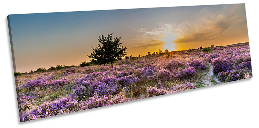 Sunset Heather Field Landscape Multi-Coloured