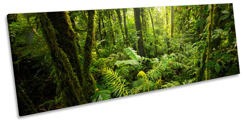 Forest Landscape Green Trees